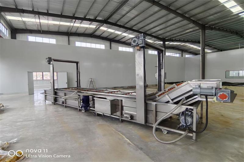 全自动果蔬清洗机